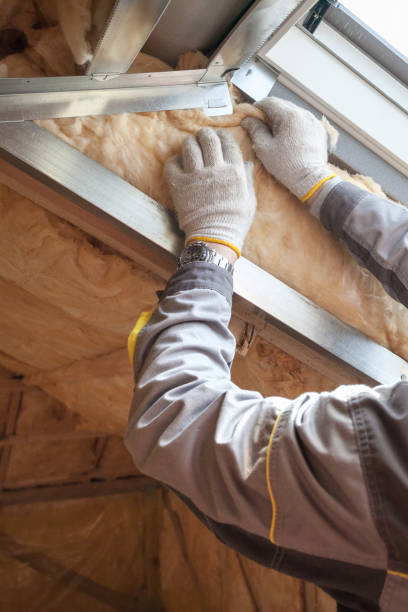 Best Geographic-Specific Insulation Services in Wauconda, IL