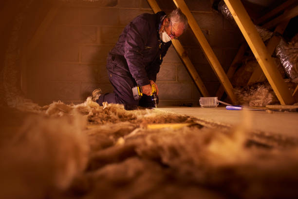Best Cellulose Insulation in Wauconda, IL